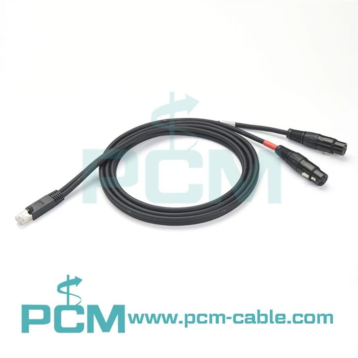 AXIA için RJ45 Erkekten Çift XLR Dişi Kabloya