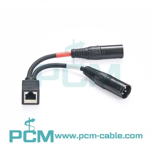 Axia Adaptör Kablosu Çift XLR Erkek - RJ45 Dişi