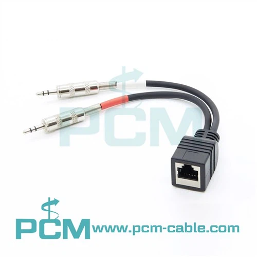RJ45 - Çift 3,5 mm Stereo Kablo Adaptörü
