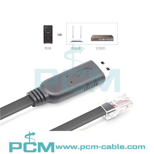 USB RS232'den RJ45 Konsol Kablosuna