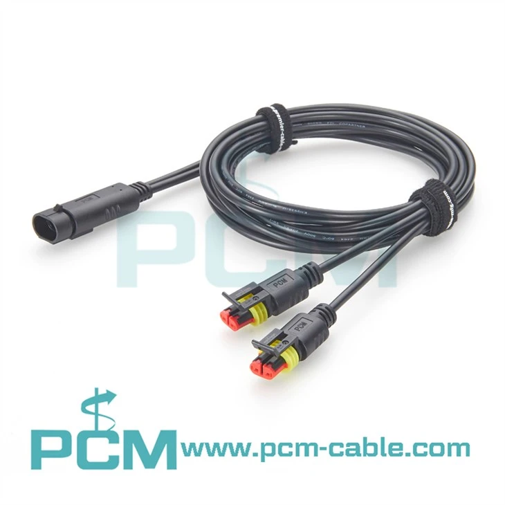 SUPERSEAL 2 pin Y splitter with cable, 1 male to 2 female connectors